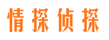 崇文外遇调查取证